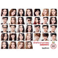 รักแท้จะตามหาเธอ (Destiny) (Single)