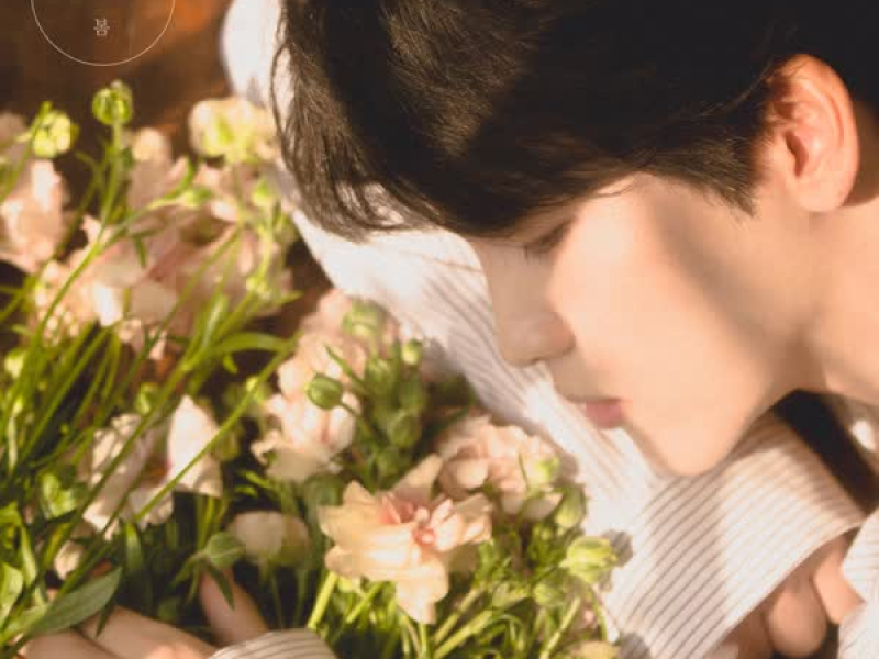 Serenade in May (Single)