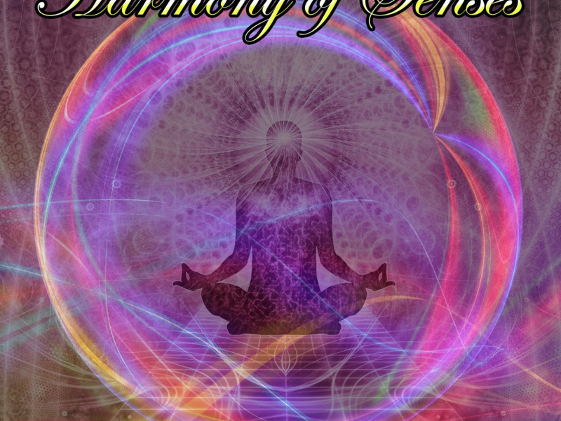Harmony of Senses: Beautiful Relaxing Music for Yoga, Sleep and  Meditation (Single)