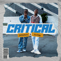 Critical (Single)