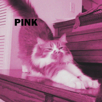 Pink (Single)