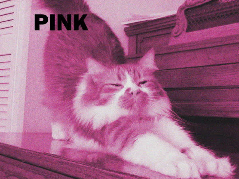 Pink (Single)
