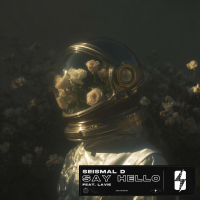 Say Hello (feat. Lavie) (Single)