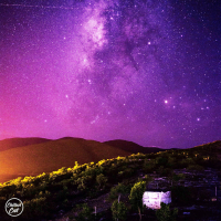 Living The Dream (Single)