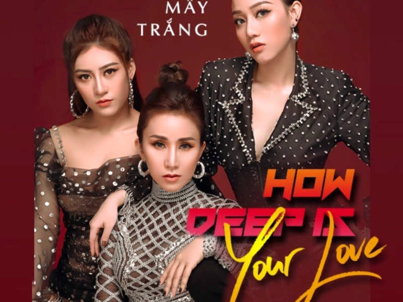 How Deep Is Your Love (Single)