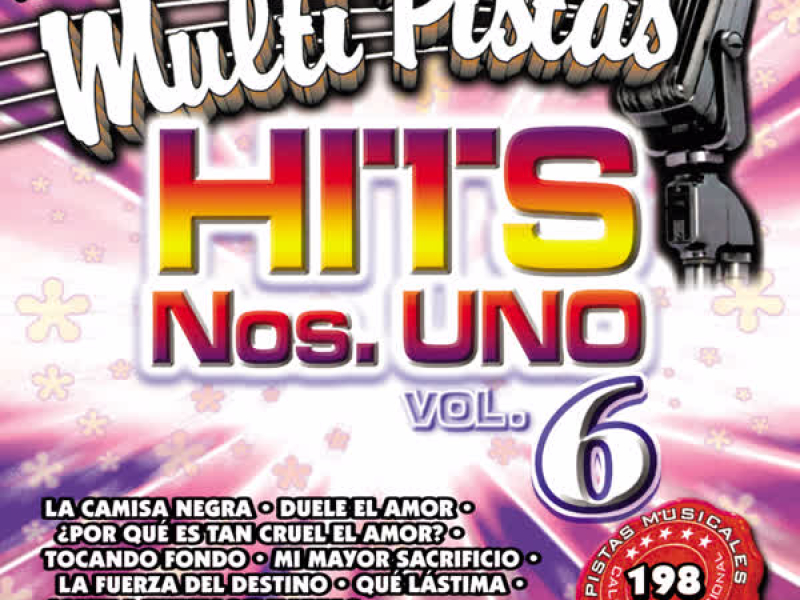 Canta Con Multi Pistas Hits. Nos. Uno Vol.6