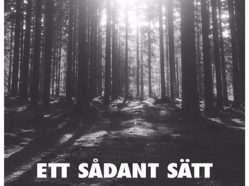 Ett Sådant Sätt (Single)