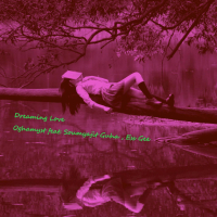 Dreaming Love (Single)