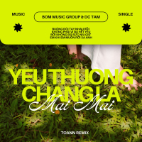 Yêu Thương Chẳng Là Mãi Mãi (Toann Remix) (Single)