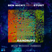 Raindrops (Sub Sonik Remix) (Single)