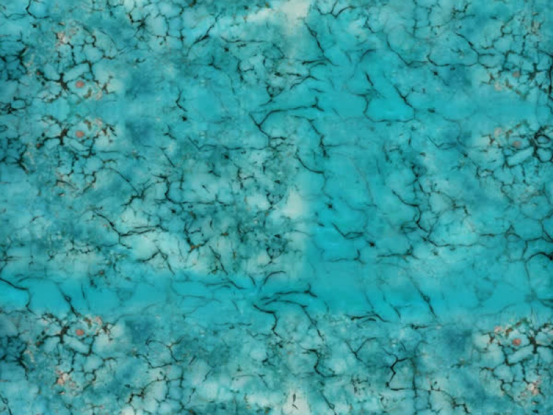 你的名字 (Single)