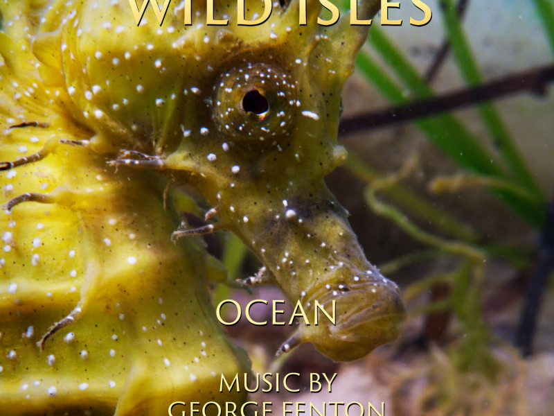 Wild Isles: Ocean (Music from the Original TV Series)