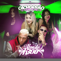 Cachorrão Sem Dono (Single)