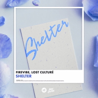 Shelter (Single)
