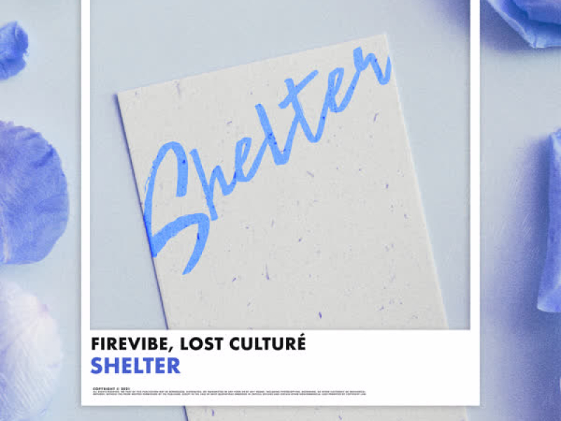 Shelter (Single)