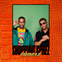 Shopping Spree (Single)