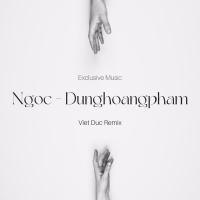 Ngốc (Việt Đức Remix) (Single)