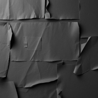 Paper Walls (Single)