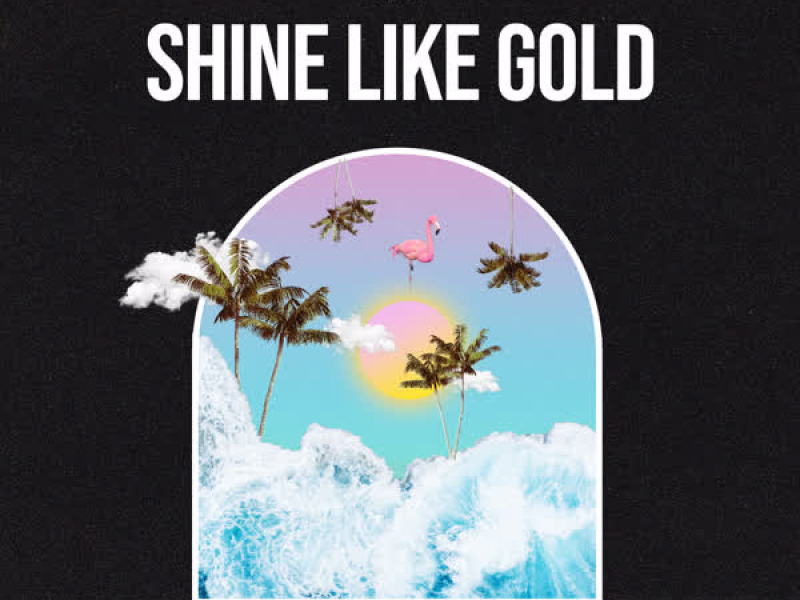 Shine Like Gold (Single)