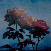 Alma Rosa - The Beginning of a Dream, Pt. 2 (Single)