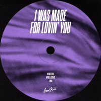 I Was Made for Lovin' You (Single)