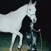 CAVALLO BIANCO (Single)