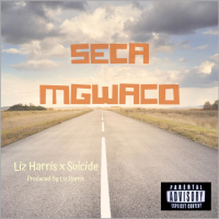 Seca Mgwaco (feat. Liz Harris) (Single)