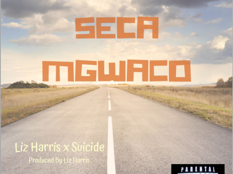 Seca Mgwaco (feat. Liz Harris) (Single)