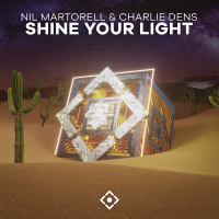 Shine Your Light (Single)