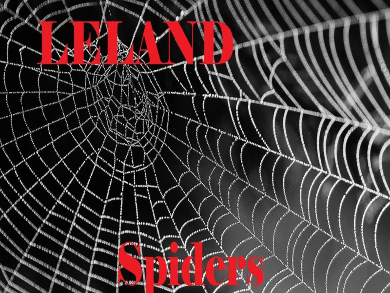 Spiders (Single)