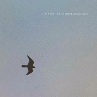 Gliding Bird (Single)