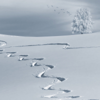 笛子舞 (姐姐版) (Single)