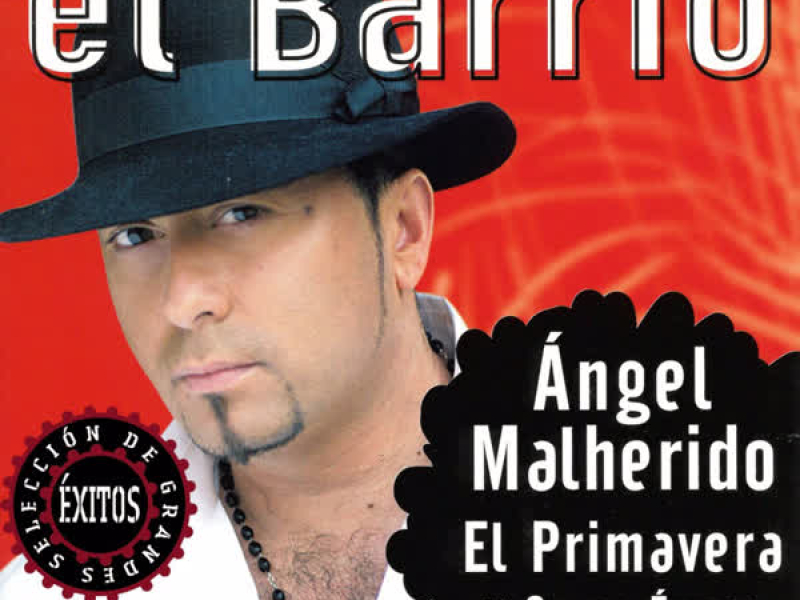 Seleccíon de Grandes Exitos 2004