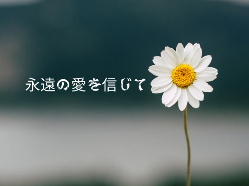 永遠の愛を信じて (Single)