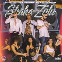 Shaka Zulu (Single)