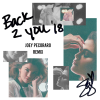 Back To You (Joey Pecoraro Remix) (Single)