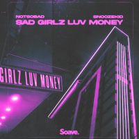 SAD GIRLZ LUV MONEY (Single)