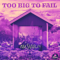 Too Big to Fail (Single)
