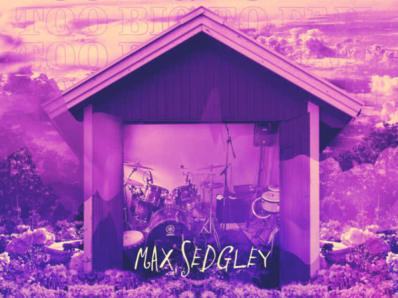 Too Big to Fail (Single)