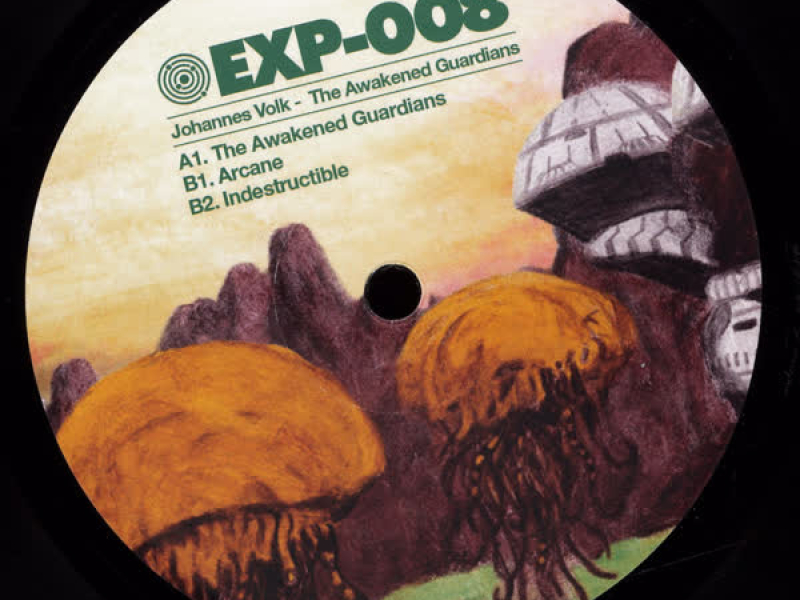 The Awakened Guardians