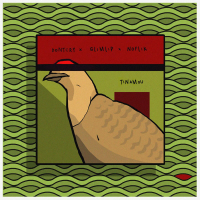 Tinamou (Single)