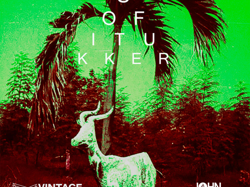 Drinkee (Vintage Culture & John Summit Remix) (Single)