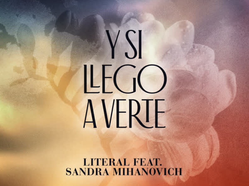 Y Si Llego a Verte (Single)
