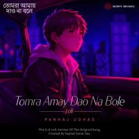 Tomra Amay Dao Na Bole (Lofi) (Single)