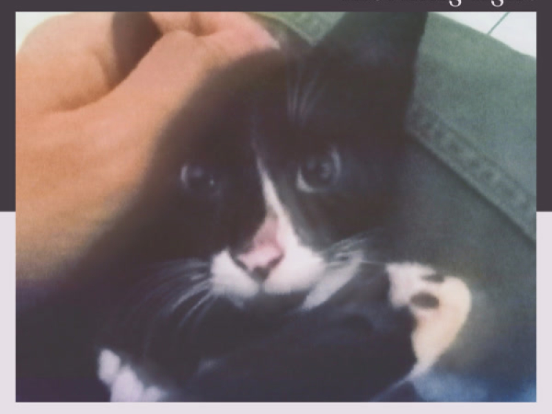 Morning Light (Single)