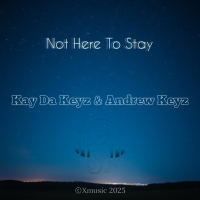 Not Here To Stay (Single)
