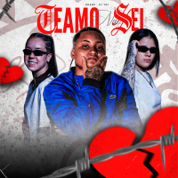 Te Amo Não Sei (Single)