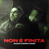 Non è finita (Single)