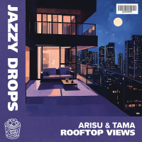 Rooftop Views (Single)