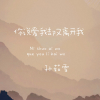 你说爱我却又离开我 (Single)